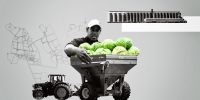Iman_regenerative agriculture 
