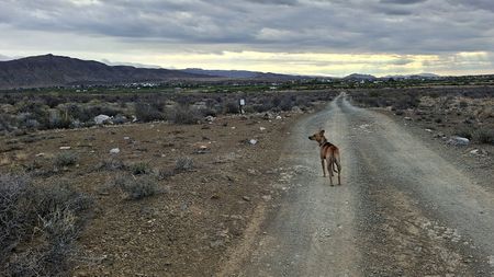Where has all the water gone? Reflections on a visit to the Groot Karoo drylands