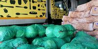Daniélle Food waste regulation