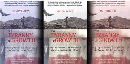The Tyranny of Growth examines the sacrosanct concept of GDP as a growth measure in Africa