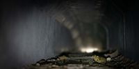 A series of tunnels have been erected along Peninsula Road to help the endangered western leopard toad toad safely pass under the road and avoid being hit by cars during its breeding season, which takes place during August and September. (Photo: Jeremy Shelton)