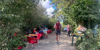 The most welcome sight. Red chairs and tables signal Pepe the entrepreneur's road side Bar Casita Lucia, Spain. 29 August 2023. (Photo: Pauli van Wyk)