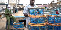Atigh Boucavar (48), a fisherman in the harbour of Nouadhibou. He has been fishing since 1996 and uses a new trap that the CHinese introduced. (Photo: Nathalie Bertrams)