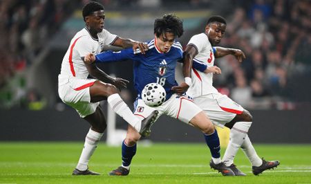 Japan favourites in tough Group F, with Holland, Sweden and Tunisia
