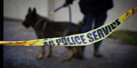 Kliprivier kidnapping cell was funding Islamic State terrorism, say sources