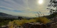 City bowl and Signal Hill. Image: Jess Proctor