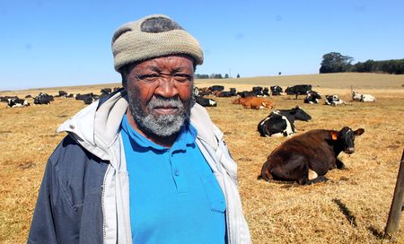 Ngcobo's love for farming sees him soar from farmhand to owner of state-of-the-art commercial dairy facility