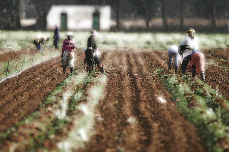 South Africa: Who controls the land anyway?