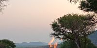Near Leeupoort, district Thabazimbi. Photographer: Lize Kampman