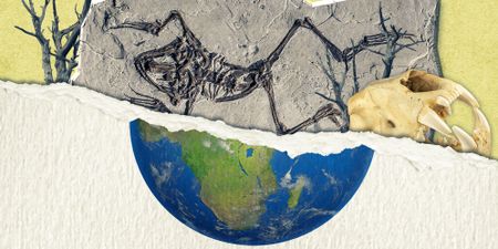 Part 1: The Sixth Extinction and the Anthropocene’s Pleistocene origins