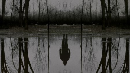 The best crime series to binge
