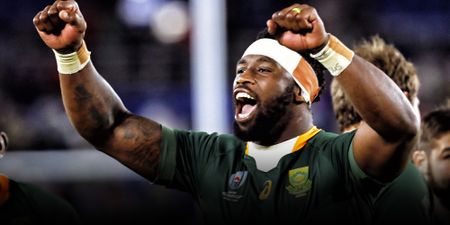 Never-say-die Boks manage white-knuckle tension to see off Wales for place in final