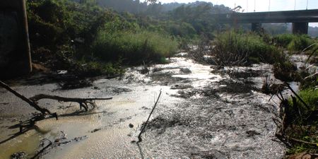 eThekwini sewage management crisis: DA challenges city's excuses in court