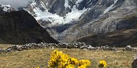 tammy-peru-trek
