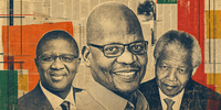 Windbag Mbalula’s stupidity is emblematic of the ANC’s plunge into ignominy