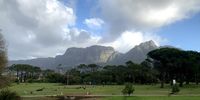 After the rain, waterfalls cascading in above Newlands forest. Image: Jenni Bessesen 