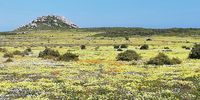 West Coast National Park. 2 September 2021.