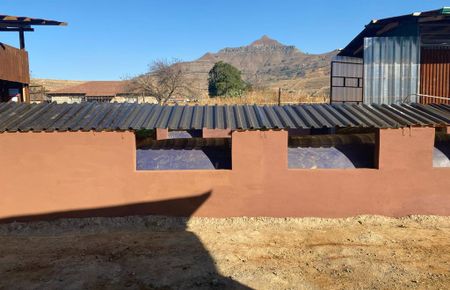 Biogas — the gas in the energy mix South Africa could comfortably use