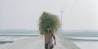 "Living in the Transition pt.2." A man carries a large quantity of straw on his head. I photographed these pictures in Gabura Union, Bangladesh between the beginning of October and late November 2021. Gabura Union is located on the southwestern coast of Bangladesh. It is one of the most vulnerable areas to the impacts of climate change, and many residents often suffer from its effects. These include river erosion, landslides, rising salinity levels in fresh water sources and collapsing infrastructure, caused by the tropical cyclones that occur frequently. The purpose of this photo essay is to capture and communicate the situation for people living quietly in this transition, impacted by climate change. © Shunta Kimura, Japan, Finalist, Professional, Environment, 2022 Sony World Photography Awards