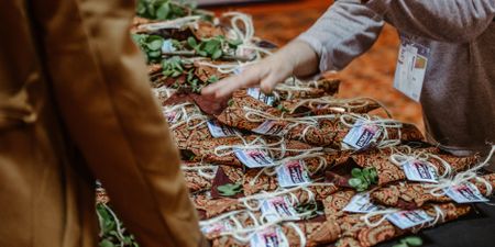 Fear of flying? Plant a spekboom to offset your carbon footprint