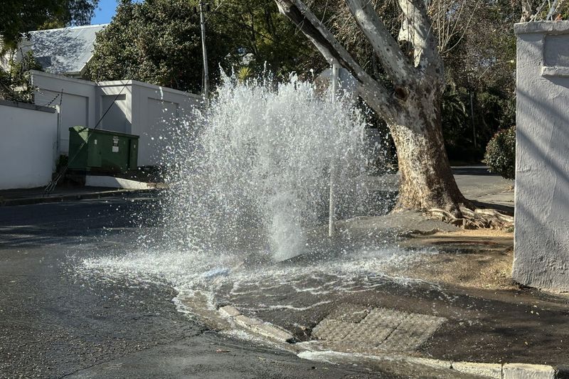 By numbers — how Joburg’s essential services are deteriorating
