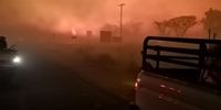 Motorists had to stop as veld fires spread in the North West. (Photo: Supplied)
