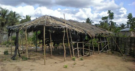 Mozambique: Shadow violence that requires level-headed intervention