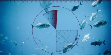 Searcher Geodata returns to South Africa to pursue seismic surveys off the West Coast