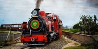 Choo, choo! Nelson Mandela Bay approves bid to bring back the Apple Express