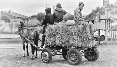 From rock stars to obscurity – searching for lost Thoroughbreds