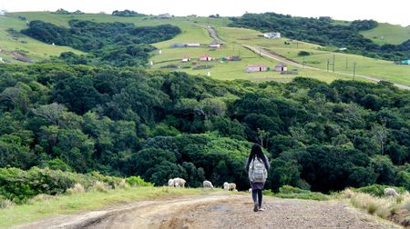 Auditor-General reveals dismal state of government in Eastern Cape ahead of Ramaphosa visit