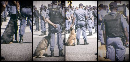 Good morning, Colombia: Kidnappings, assassinations and corruption – SAPS is a systemic threat to SA