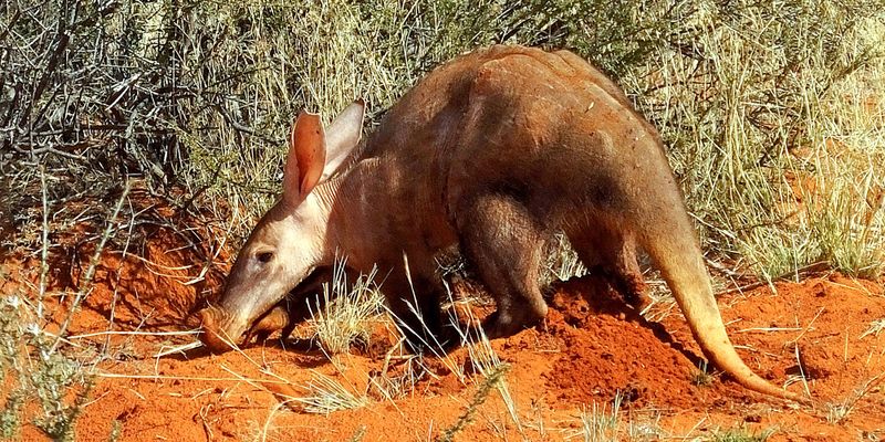 ECOLOGICAL ALARM: Beautiful region, scary findings: CapeNature’s latest report card