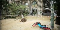 A felled tree blocks a road after a severe storm toppled trees and destroyed several parked cars at Castello Sforzesco, in Milan, Italy, 25 July 2023. A very violent thunderstorm, accompanied by continuous discharges of lightning and sudden gusts of wind, similar to downbursts, struck Milan and a good part of Brianza and northern Lombardy around 4 am. A phenomenon accompanied, in some areas, also by hailstorms.  EPA-EFE/DAVIDE CANELLA