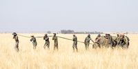A capture team ‘walks’ a rhino to its crate after being dartet on the African Parks Rhino Rewild location. (Photo: Mike Dexter)