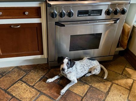 Plan B for Dinner: The Curse of the Missing the Main Ingredient Syndrome