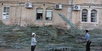 An Ultra-Orthodox Jewish child holds a palm branch used during the celebration of Sukkot, the Feast of the Tabernacles, in the Ultra-Orthodox neighborhood of Mea Shearim, Jerusalem, 26 September 2023. The Sukkot feast, which begins on 29 September at sunset and ends on 06 October 2023, commemorates the exodus of Jews from Egypt some thousands of years ago.  EPA-EFE/ABIR SULTAN
