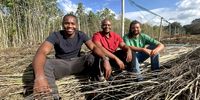 Hemp dreams — young South African pioneers create a new industry against all odds