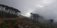 Misty Mountain (Taken at Table Mountain Lower Cable Car Station). Image: Grant Eglin 