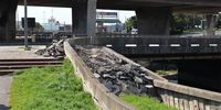 ‘No chance’: Road rubble allegedly buries Gqeberha riverside kingfisher nests