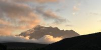 "I break for wild flowers". Greyton sunrise. Photographer: Jamie Elkon<br>