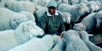 Khotsang Moshoeshoe: association strategist and sheep farmer. Picture: Public Eye