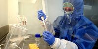 Elsabe-Women-Cradle