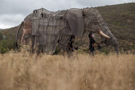 Puppets bring together a town divided by apartheid