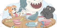 fallows-shark-book