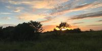 Sunset. Photographer: Pravesh Babulal</p>
<p>P4U_readersubmission_20250328