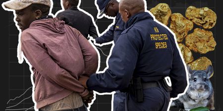 From gold prices to chinchillas: five key trends impacting South Africa's mining landscape in 2025