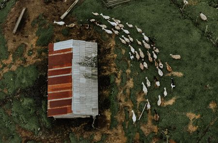 Sony World Competition — Showcasing striking perspectives from around the world