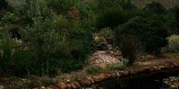 Early morning reflections in Greyton.