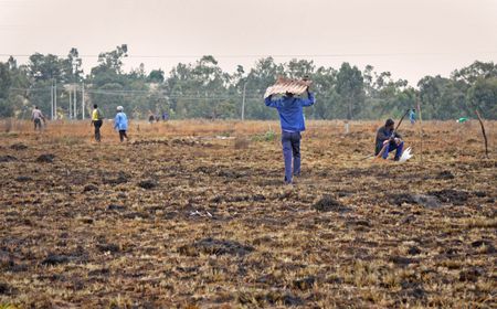 Overcrowding leads to Ekurhuleni land occupation